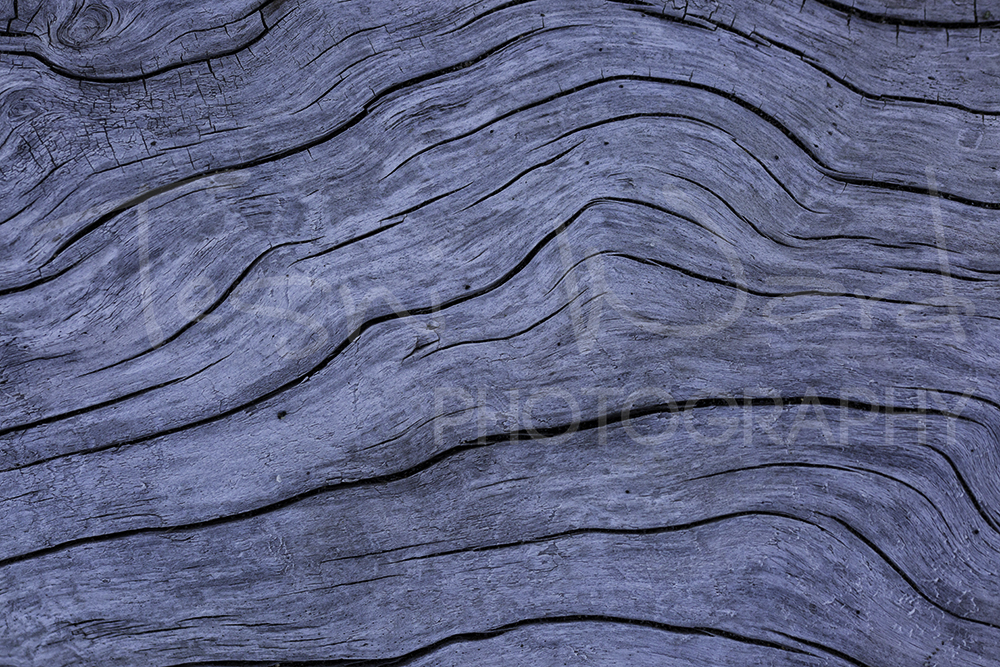 Wood Abstract Hallo Bay Alaska