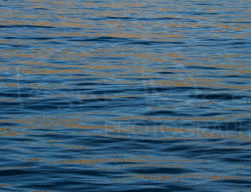 Rippled