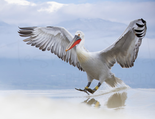 A Smooth Landing